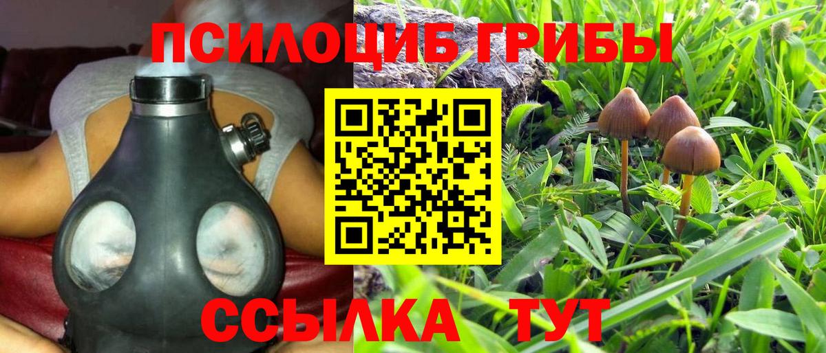 цена наркотик  Псилоцибиновые грибы прущие грибы  Галлюциногенные грибы мухоморы  Вход с VPN  Усть-Илимск 