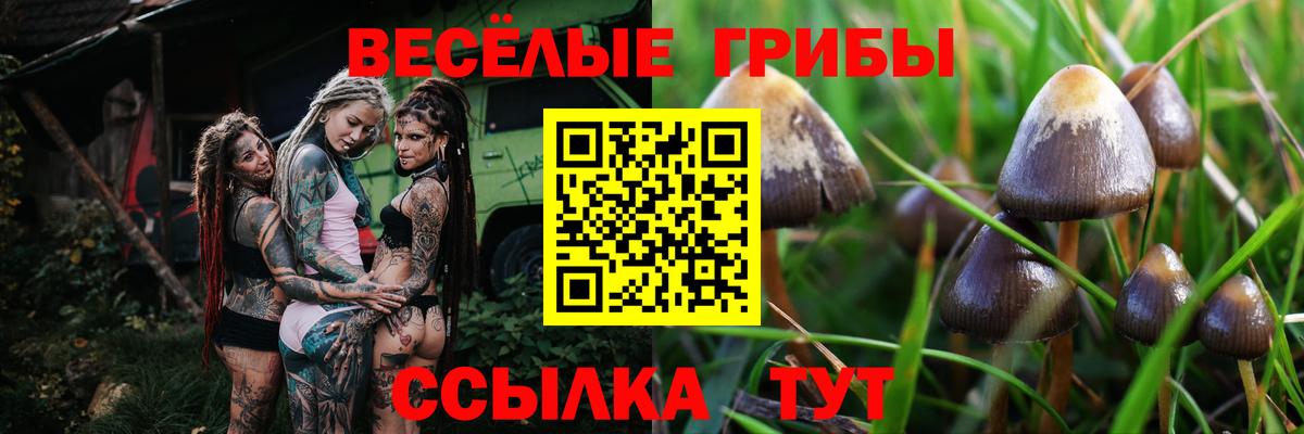 Галлюциногенные грибы GOLDEN TEACHER Усть-Илимск